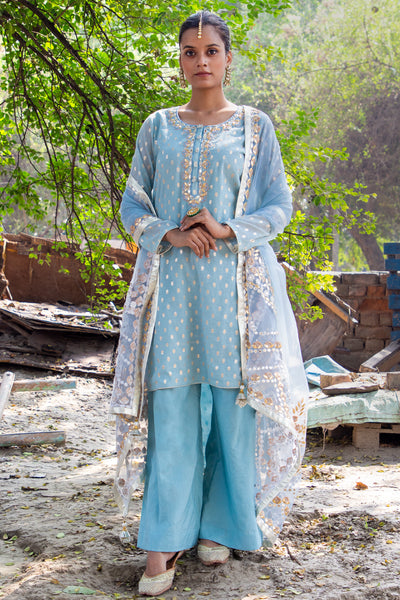 Sky Blue Banarsi Booti Embroidered Suit
