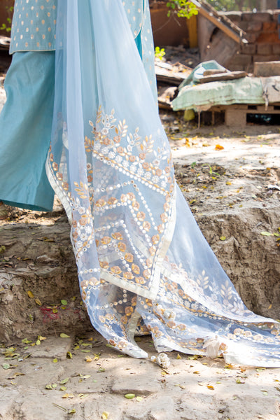 Sky Blue Banarsi Booti Embroidered Suit